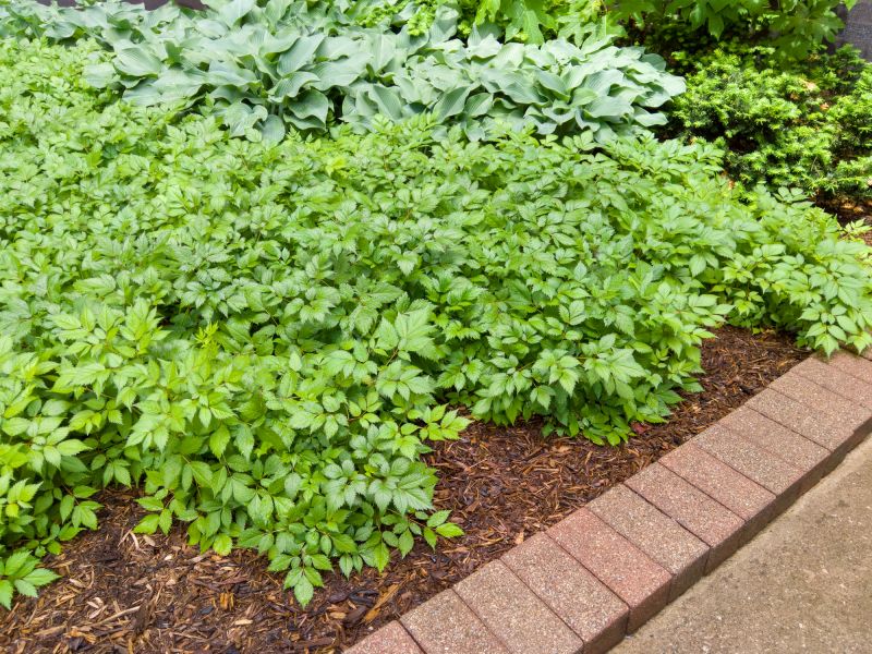Brick Hardscaping Installation in Pleasantville, NY